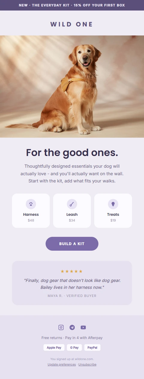 Example marketing email designed in the style of Wild One